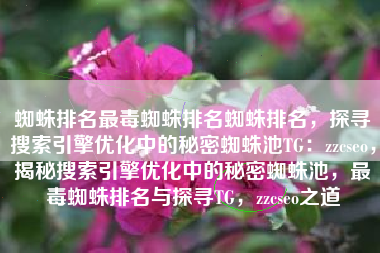 蜘蛛排名最毒蜘蛛排名蜘蛛排名，探寻搜索引擎优化中的秘密蜘蛛池TG：zzcseo，揭秘搜索引擎优化中的秘密蜘蛛池，最毒蜘蛛排名与探寻TG，zzcseo之道
