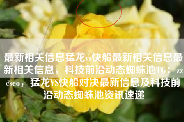 最新相关信息猛龙vs快船最新相关信息最新相关信息，科技前沿动态蜘蛛池TG：zzcseo，猛龙VS快船对决最新信息及科技前沿动态蜘蛛池资讯速递