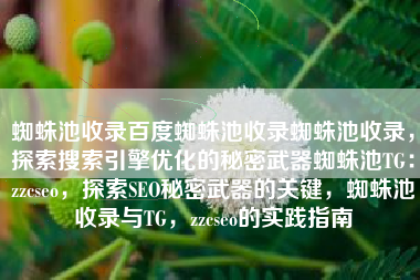 蜘蛛池收录百度蜘蛛池收录蜘蛛池收录，探索搜索引擎优化的秘密武器蜘蛛池TG：zzcseo，探索SEO秘密武器的关键，蜘蛛池收录与TG，zzcseo的实践指南