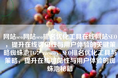 网站seo网站seo排名优化工具在线网站SEO，提升在线可见性与用户体验的关键策略蜘蛛池TG：zzcseo，SEO排名优化工具与策略，提升在线可见性与用户体验的蜘蛛池秘籍
