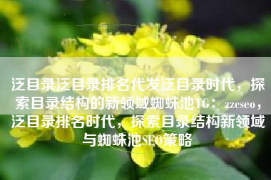 泛目录泛目录排名代发泛目录时代，探索目录结构的新领域蜘蛛池TG：zzcseo，泛目录排名时代，探索目录结构新领域与蜘蛛池SEO策略