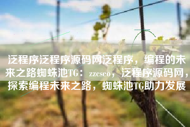 泛程序泛程序源码网泛程序，编程的未来之路蜘蛛池TG：zzcseo，泛程序源码网，探索编程未来之路，蜘蛛池TG助力发展