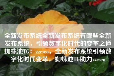 全新发布系统全新发布系统有哪些全新发布系统，引领数字化时代的变革之道蜘蛛池TG：zzcseo，全新发布系统引领数字化时代变革，蜘蛛池TG助力zzcseo