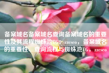 备案域名备案域名查询备案域名的重要性及其流程蜘蛛池TG：zzcseo，备案域名的重要性、查询流程与蜘蛛池TG，zzcseo