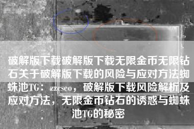 破解版下载破解版下载无限金币无限钻石关于破解版下载的风险与应对方法蜘蛛池TG：zzcseo，破解版下载风险解析及应对方法，无限金币钻石的诱惑与蜘蛛池TG的秘密