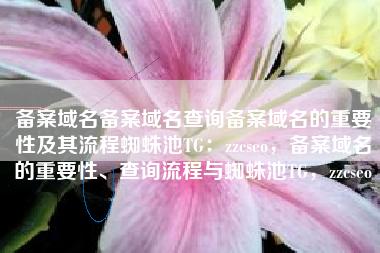 备案域名备案域名查询备案域名的重要性及其流程蜘蛛池TG：zzcseo，备案域名的重要性、查询流程与蜘蛛池TG，zzcseo