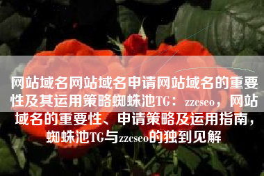 网站域名网站域名申请网站域名的重要性及其运用策略蜘蛛池TG：zzcseo，网站域名的重要性、申请策略及运用指南，蜘蛛池TG与zzcseo的独到见解