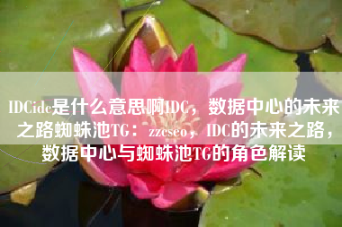 IDCidc是什么意思啊IDC，数据中心的未来之路蜘蛛池TG：zzcseo，IDC的未来之路，数据中心与蜘蛛池TG的角色解读