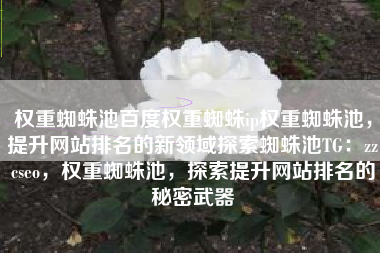 权重蜘蛛池百度权重蜘蛛ip权重蜘蛛池，提升网站排名的新领域探索蜘蛛池TG：zzcseo，权重蜘蛛池，探索提升网站排名的秘密武器