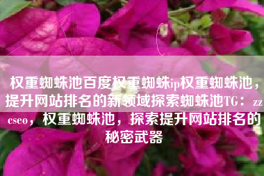 权重蜘蛛池百度权重蜘蛛ip权重蜘蛛池，提升网站排名的新领域探索蜘蛛池TG：zzcseo，权重蜘蛛池，探索提升网站排名的秘密武器