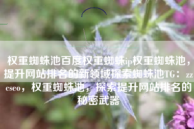 权重蜘蛛池百度权重蜘蛛ip权重蜘蛛池，提升网站排名的新领域探索蜘蛛池TG：zzcseo，权重蜘蛛池，探索提升网站排名的秘密武器