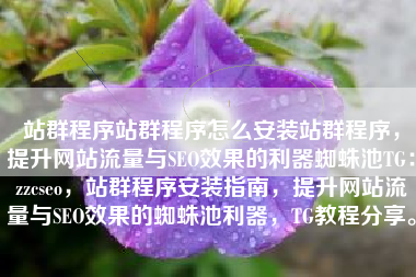 站群程序站群程序怎么安装站群程序，提升网站流量与SEO效果的利器蜘蛛池TG：zzcseo，站群程序安装指南，提升网站流量与SEO效果的蜘蛛池利器，TG教程分享。