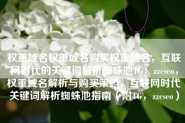 权重域名权重域名购买权重域名，互联网时代的关键词解析蜘蛛池TG：zzcseo，权重域名解析与购买策略，互联网时代关键词解析蜘蛛池指南（附TG，zzcseo）