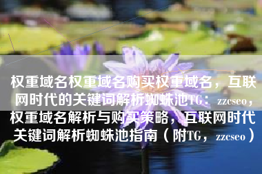 权重域名权重域名购买权重域名，互联网时代的关键词解析蜘蛛池TG：zzcseo，权重域名解析与购买策略，互联网时代关键词解析蜘蛛池指南（附TG，zzcseo）