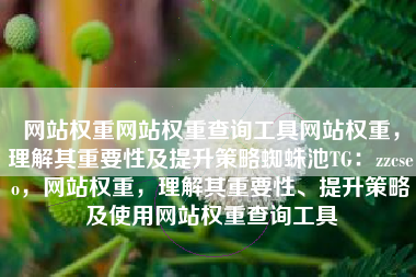 网站权重网站权重查询工具网站权重，理解其重要性及提升策略蜘蛛池TG：zzcseo，网站权重，理解其重要性、提升策略及使用网站权重查询工具