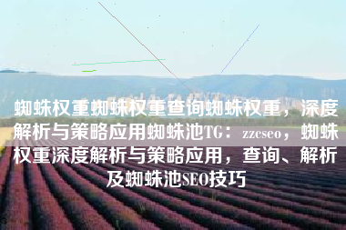 蜘蛛权重蜘蛛权重查询蜘蛛权重，深度解析与策略应用蜘蛛池TG：zzcseo，蜘蛛权重深度解析与策略应用，查询、解析及蜘蛛池SEO技巧