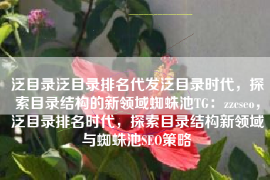 泛目录泛目录排名代发泛目录时代，探索目录结构的新领域蜘蛛池TG：zzcseo，泛目录排名时代，探索目录结构新领域与蜘蛛池SEO策略