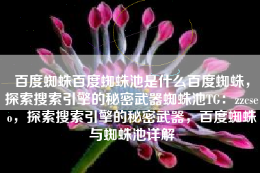 百度蜘蛛百度蜘蛛池是什么百度蜘蛛，探索搜索引擎的秘密武器蜘蛛池TG：zzcseo，探索搜索引擎的秘密武器，百度蜘蛛与蜘蛛池详解