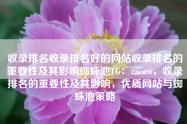 收录排名收录排名好的网站收录排名的重要性及其影响蜘蛛池TG：zzcseo，收录排名的重要性及其影响，优质网站与蜘蛛池策略