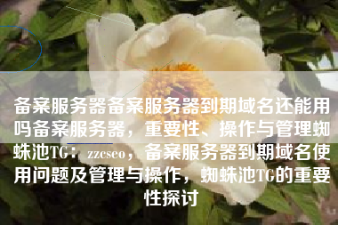 备案服务器备案服务器到期域名还能用吗备案服务器，重要性、操作与管理蜘蛛池TG：zzcseo，备案服务器到期域名使用问题及管理与操作，蜘蛛池TG的重要性探讨