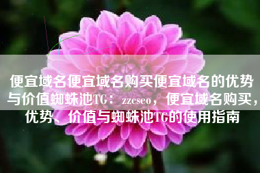 便宜域名便宜域名购买便宜域名的优势与价值蜘蛛池TG：zzcseo，便宜域名购买，优势、价值与蜘蛛池TG的使用指南