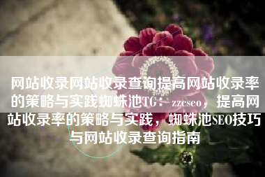 网站收录网站收录查询提高网站收录率的策略与实践蜘蛛池TG：zzcseo，提高网站收录率的策略与实践，蜘蛛池SEO技巧与网站收录查询指南