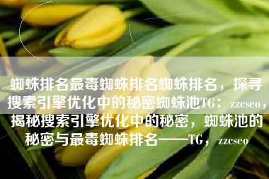 蜘蛛排名最毒蜘蛛排名蜘蛛排名，探寻搜索引擎优化中的秘密蜘蛛池TG：zzcseo，揭秘搜索引擎优化中的秘密，蜘蛛池的秘密与最毒蜘蛛排名——TG，zzcseo