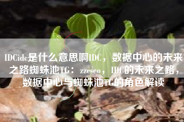 IDCidc是什么意思啊IDC，数据中心的未来之路蜘蛛池TG：zzcseo，IDC的未来之路，数据中心与蜘蛛池TG的角色解读