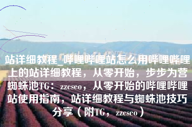 站详细教程_哔哩哔哩站怎么用哔哩哔哩上的站详细教程，从零开始，步步为营蜘蛛池TG：zzcseo，从零开始的哔哩哔哩站使用指南，站详细教程与蜘蛛池技巧分享（附TG，zzcseo）