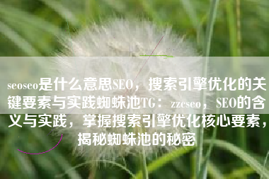 seoseo是什么意思SEO，搜索引擎优化的关键要素与实践蜘蛛池TG：zzcseo，SEO的含义与实践，掌握搜索引擎优化核心要素，揭秘蜘蛛池的秘密