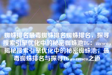 蜘蛛排名最毒蜘蛛排名蜘蛛排名，探寻搜索引擎优化中的秘密蜘蛛池TG：zzcseo，揭秘搜索引擎优化中的秘密蜘蛛池，最毒蜘蛛排名与探寻TG，zzcseo之道