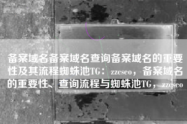 备案域名备案域名查询备案域名的重要性及其流程蜘蛛池TG：zzcseo，备案域名的重要性、查询流程与蜘蛛池TG，zzcseo