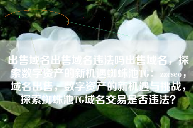 出售域名出售域名违法吗出售域名，探索数字资产的新机遇蜘蛛池TG：zzcseo，域名出售，数字资产的新机遇与挑战，探索蜘蛛池TG域名交易是否违法？
