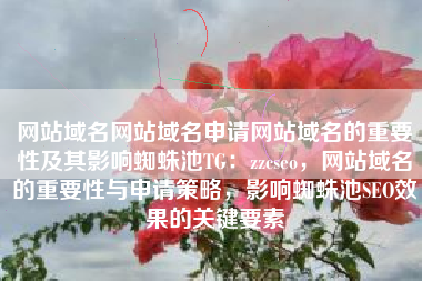 网站域名网站域名申请网站域名的重要性及其影响蜘蛛池TG：zzcseo，网站域名的重要性与申请策略，影响蜘蛛池SEO效果的关键要素