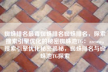 蜘蛛排名最毒蜘蛛排名蜘蛛排名，探索搜索引擎优化的秘密蜘蛛池TG：zzcseo，搜索引擎优化秘密揭秘，蜘蛛排名与蜘蛛池TG探索