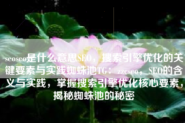 seoseo是什么意思SEO，搜索引擎优化的关键要素与实践蜘蛛池TG：zzcseo，SEO的含义与实践，掌握搜索引擎优化核心要素，揭秘蜘蛛池的秘密