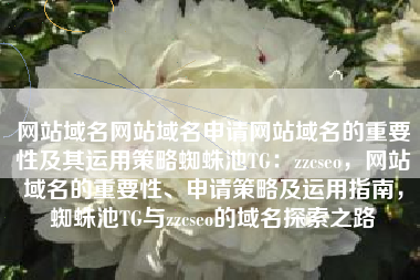 网站域名网站域名申请网站域名的重要性及其运用策略蜘蛛池TG：zzcseo，网站域名的重要性、申请策略及运用指南，蜘蛛池TG与zzcseo的域名探索之路