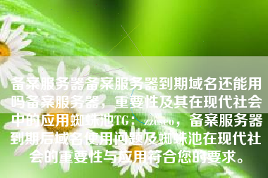 备案服务器备案服务器到期域名还能用吗备案服务器，重要性及其在现代社会中的应用蜘蛛池TG：zzcseo，备案服务器到期后域名使用问题及蜘蛛池在现代社会的重要性与应用符合您的要求。