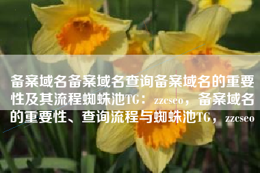 备案域名备案域名查询备案域名的重要性及其流程蜘蛛池TG：zzcseo，备案域名的重要性、查询流程与蜘蛛池TG，zzcseo
