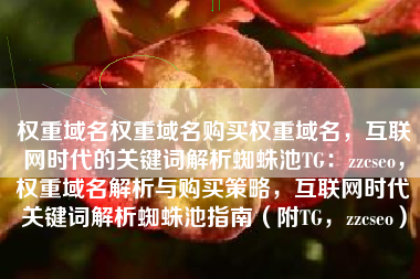权重域名权重域名购买权重域名，互联网时代的关键词解析蜘蛛池TG：zzcseo，权重域名解析与购买策略，互联网时代关键词解析蜘蛛池指南（附TG，zzcseo）