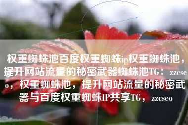 权重蜘蛛池百度权重蜘蛛ip权重蜘蛛池，提升网站流量的秘密武器蜘蛛池TG：zzcseo，权重蜘蛛池，提升网站流量的秘密武器与百度权重蜘蛛IP共享TG，zzcseo