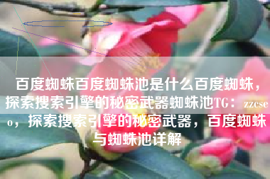 百度蜘蛛百度蜘蛛池是什么百度蜘蛛，探索搜索引擎的秘密武器蜘蛛池TG：zzcseo，探索搜索引擎的秘密武器，百度蜘蛛与蜘蛛池详解