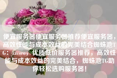 便宜服务器便宜服务器推荐便宜服务器，高效性能与成本效益的完美结合蜘蛛池TG：zzcseo，优质低价服务器推荐，高效性能与成本效益的完美结合，蜘蛛池TG助你轻松选购服务器！