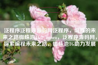 泛程序泛程序源码网泛程序，编程的未来之路蜘蛛池TG：zzcseo，泛程序源码网，探索编程未来之路，蜘蛛池TG助力发展