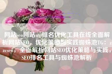 网站seo网站seo排名优化工具在线全面解析网站SEO，优化策略与实践蜘蛛池TG：zzcseo，全面解析网站SEO优化策略与实践，SEO排名工具与蜘蛛池解析