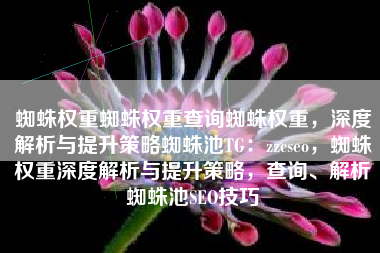 蜘蛛权重蜘蛛权重查询蜘蛛权重，深度解析与提升策略蜘蛛池TG：zzcseo，蜘蛛权重深度解析与提升策略，查询、解析蜘蛛池SEO技巧