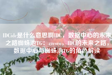 IDCidc是什么意思啊IDC，数据中心的未来之路蜘蛛池TG：zzcseo，IDC的未来之路，数据中心与蜘蛛池TG的角色解读