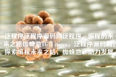 泛程序泛程序源码网泛程序，编程的未来之路蜘蛛池TG：zzcseo，泛程序源码网，探索编程未来之路，蜘蛛池TG助力发展