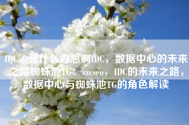 IDCidc是什么意思啊IDC，数据中心的未来之路蜘蛛池TG：zzcseo，IDC的未来之路，数据中心与蜘蛛池TG的角色解读
