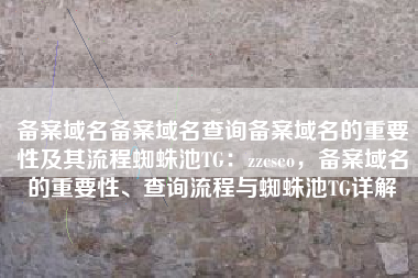 备案域名备案域名查询备案域名的重要性及其流程蜘蛛池TG：zzcseo，备案域名的重要性、查询流程与蜘蛛池TG详解